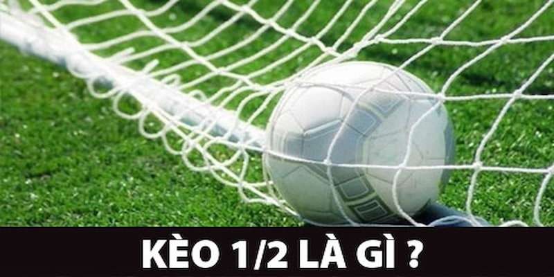 Kèo 1/2 Phân tích sâu: Cách đánh kèo 1/2 hiệu quả theo từng chiến lược