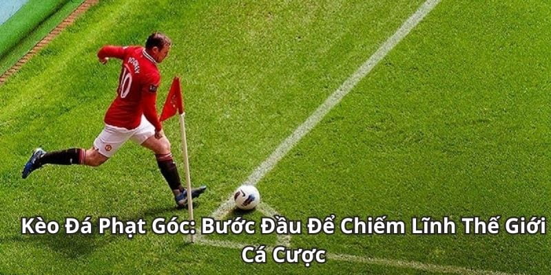 Kèo phạt góc Yếu tố ảnh hưởng đến kèo phạt góc